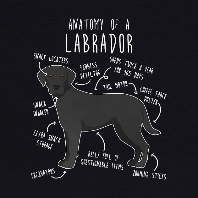 Black Labrador Retriever Dog Anatomy by Psitta